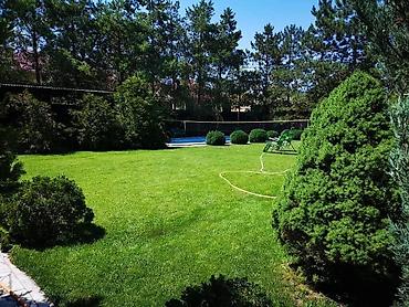 Посуточная аренда домов: Эксклюзив. VIP residence. Аренда особняка. Аренда дома. Длительно — 7