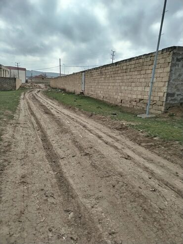 Torpaq sahələrinin satışı: 10000 sot, Tikinti, Mülkiyyətçi, Bələdiyyə — 5