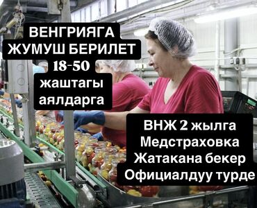 ищу работа повара: Работа - Венгрия, Строительство и производство, Без опыта, Мед. страхование