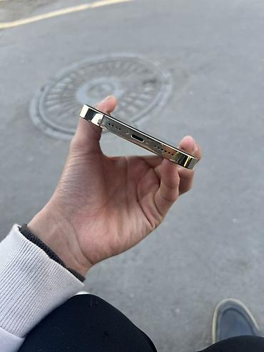 Apple iPhone: IPhone 13 Pro Max, Серебристый, Чехол — 6