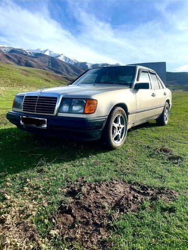 ош машиналар: Mercedes-Benz W124: 1988 г., 3 л, Автоматические, Дизель, Седан