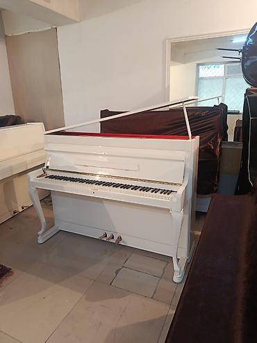 mekteb çanta: PETROF upright pianino – klassik Avropa səsi və müasir dizaynın — 2