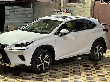 sprinter rex: Lexus NX: 2018 г., 2.5 л, Автомат, Бензин, Кроссовер — 1