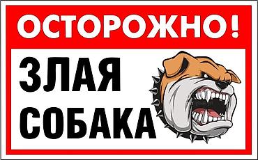 наклейка номер: Высокоточная печать, | Наклейки — 10