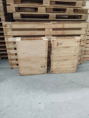 Porno katta soguvchilarni tomosha qiling