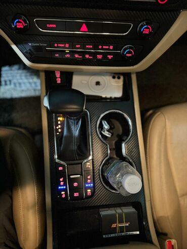 Kia: Kia Carnival: 2019 г., 2.2 л, Автомат, Дизель, Минивэн — 15