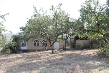 Torpaq sahələrinin satışı: 2000 sot, Tikinti, Mülkiyyətçi, Kupça (Çıxarış), Bələdiyyə -da lalafo.az — 24 Torpaq sahələrinin satışı: 2000 sot, Tikinti, Mülkiyyətçi, Kupça (Çıxarış), Bələdiyyə — 24