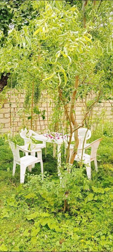 Günlük kirayə evlər: 90 kv. m, 3 otaqlı, İnternet, Telefon, Qaz — 19