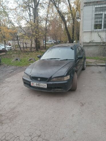 Honda: Honda Accord: 2000 г., 2.3 л, Автомат, Газ, Минивэн