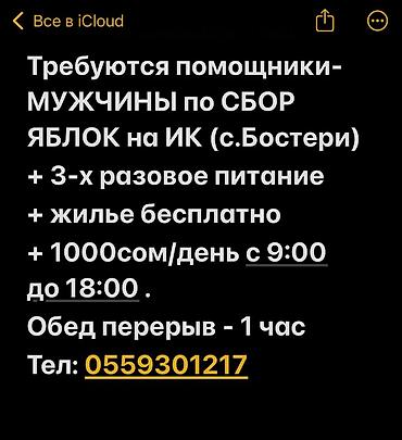 Работа: Требуется Сборщик урожая, Оплата: Еженедельно, Ежемесячно, Питание — 1