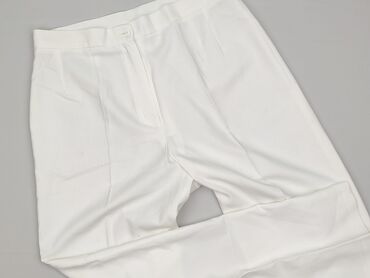 lidl spodnie softshell: Брюки жіночі, розмір L