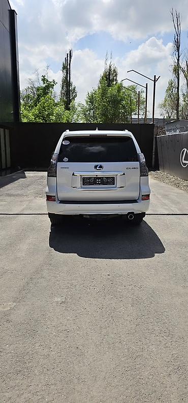 Lexus: Lexus GX: 2021 г., 4.6 л, Внедорожник — 2
