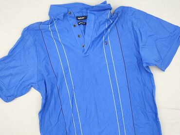 piżamy polskie: Polo shirt for men, L (EU 40), Tailored, condition - Perfect