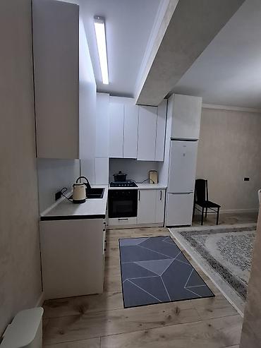 Долгосрочная аренда квартир: 2 комнаты, С мебелью полностью — 7