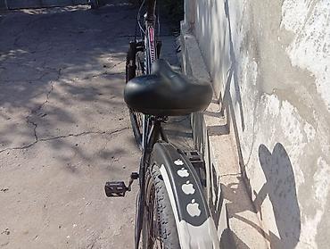 mt 09: Горный велосипед PHILLIPS Sports 26" - Рама: стальная, классическая — 3