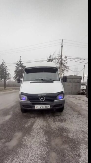 124 гур: Mercedes-Benz Спринтер: 2002 г., 2.9 л, Механика, Дизель, Бус