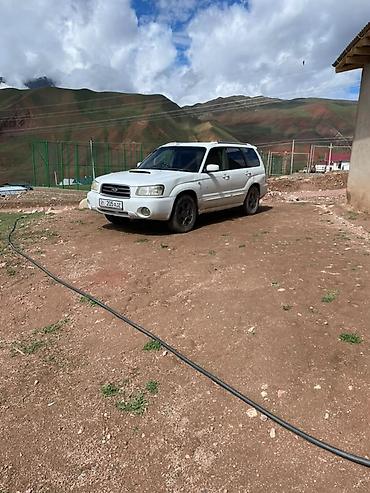 Subaru: Subaru Forester: 2003 г., 2 л, Автомат, Газ, Кроссовер — 5