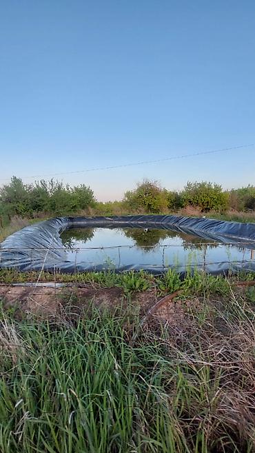 56: 120 соток, Для сельского хозяйства, Договор купли-продажи — 7