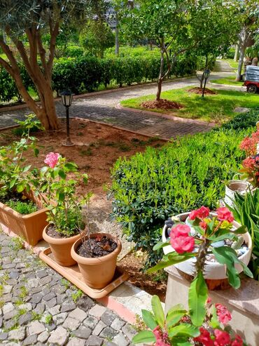 Yeni tikili: Mərdəkan, 3 otaqlı, Yeni tikili, m. Koroğlu, 120 kv. m — 24