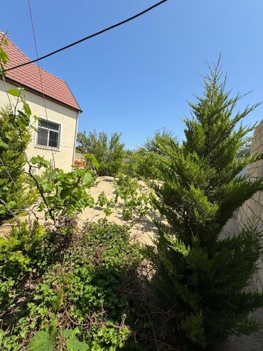 Günlük kirayə evlər: 1200 kv. m, 4 otaqlı, Qaz, İşıq, Su — 12