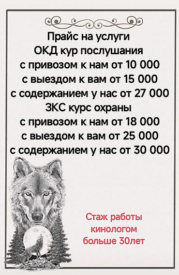 выгул: Профессиональный кинолог оказывает услуги по дрессировки. Стаж работы — 2