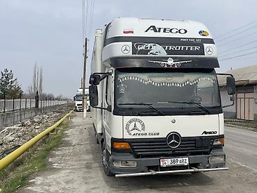 Mercedes-Benz: Mercedes-Benz : 1998 г., 4.3 л, Механика, Дизель — 2