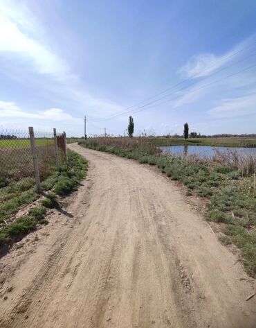 Продажа участков: 600 соток, Для бизнеса, Красная книга — 23