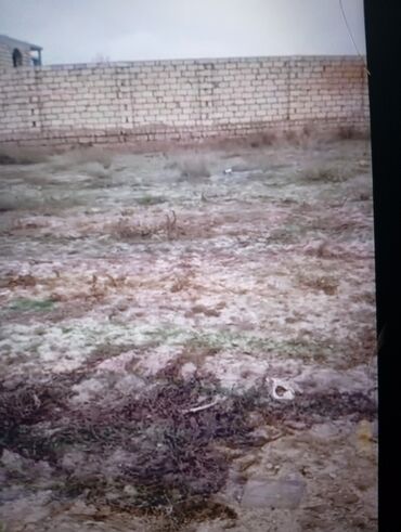 Torpaq sahələrinin satışı: Novxanıda tecılı 8 sot torpaq sahəsi satılır etrafı hasarlanıb