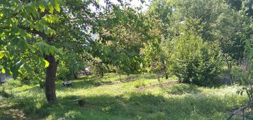 Torpaq sahələrinin satışı: 10 sot, Tikinti, Mülkiyyətçi, Kupça (Çıxarış) — 9