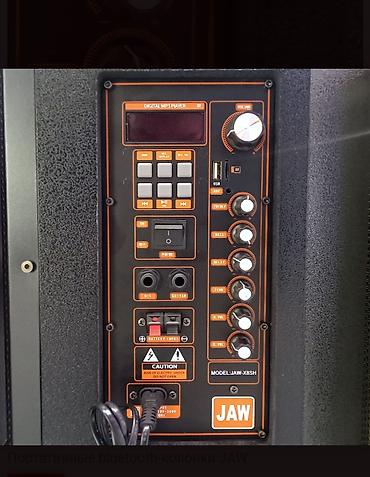 rant ace: Калонки jaw с встроенным усилителем 2 микрафонами Новые — 2