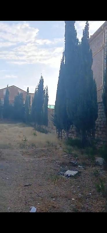 şeki: 10800 sot, Bələdiyyə — 5