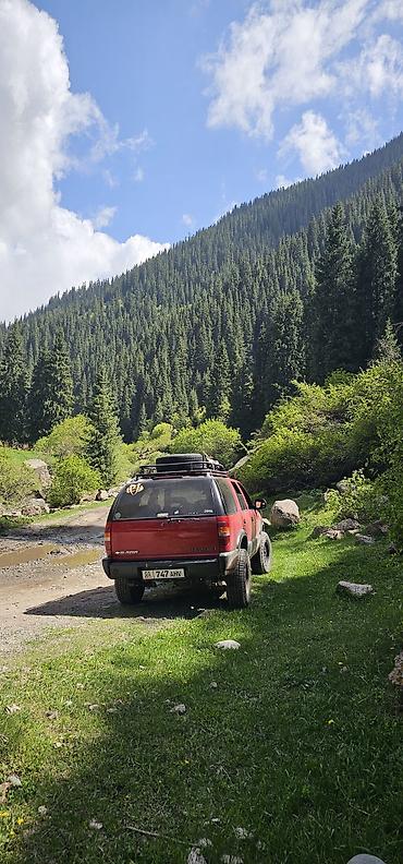blazer: Chevrolet Blazer: 1997 г., 4.3 л, Автомат, Газ, Внедорожник — 2
