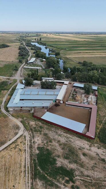 купить дом на иссык куле: Сатам Кой короо, 60 соток, Иштеп жаткан, Жабдуулары менен, Электр энергиясы, Жылытуу, Скважина