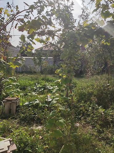 aaaf park xirdalan: Yeni Ramanıda kirayə ev. komunal daxil. yalnız işiq pulu.Paltar yuyan — 10