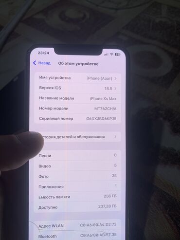 Apple iPhone: IPhone Xs Max, Б/у, 256 ГБ, Защитное стекло, Чехол, 99 %