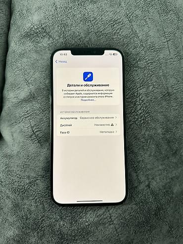 Apple iPhone: IPhone 12 Pro Max, 256 ГБ, 76 % at lalafo.kg — 6 Apple iPhone: IPhone 12 Pro Max, 256 ГБ, 76 % — 6