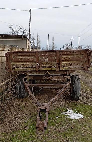 Lapetlər: SƏNƏDİ YOXDU — 1