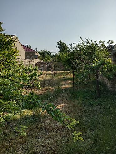 8 mkr: Salam hər vaxtınız xeyir,4 otaqlı geniş heyəti geniş bağı, ümumilikdə — 7