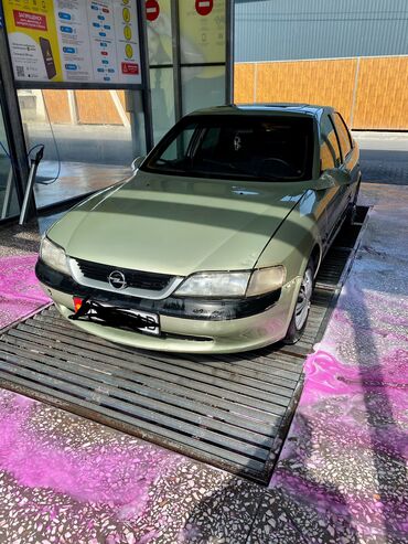 Opel: Opel Vectra: 1997 г., 1.6 л, Механика, Бензин, Хэтчбэк