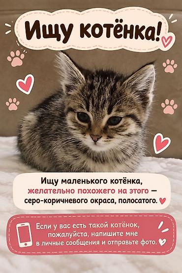 курица кг: 🐱 Ищу котёнка Ищу котёнка в добрые и заботливые руки. Желательно — 1