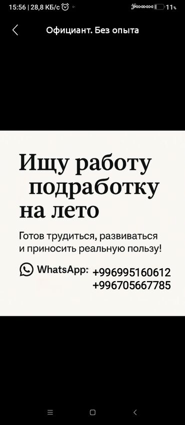 ищу работу в интернете на дому: Требуется сотрудник
