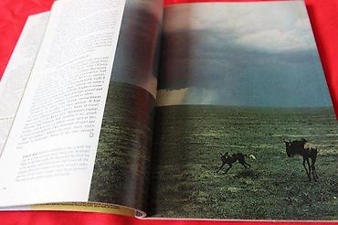 странци 2008: NATIONAL GEOGRAPHIC FEBRUAR 1972. | National Geographic Februar — 3