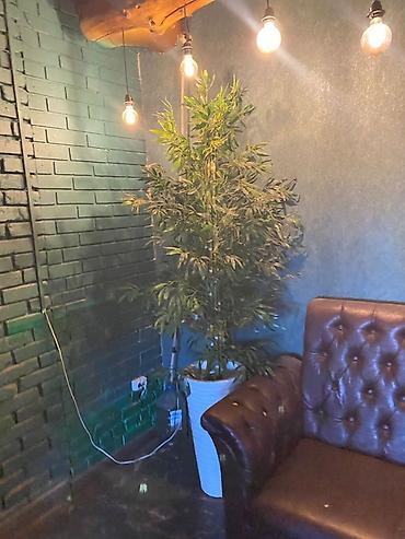 Прямые диваны: Прямой диван — 13