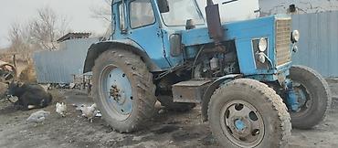 Тракторы МТЗ (Беларус): Модель: 82, Б/у, 1982 г., Трактор с другими агрегатами — 2