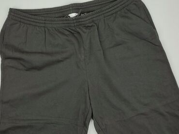 Sweatpants: Sweatpants, H&M, 2XL (EU 44), condition - Good