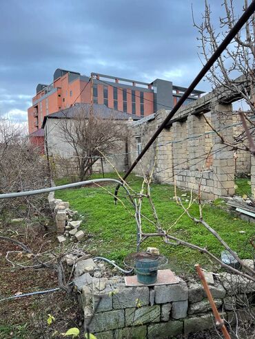 Torpaq sahələrinin satışı: 8 sot, Biznes üçün, Mülkiyyətçi, Kupça (Çıxarış)