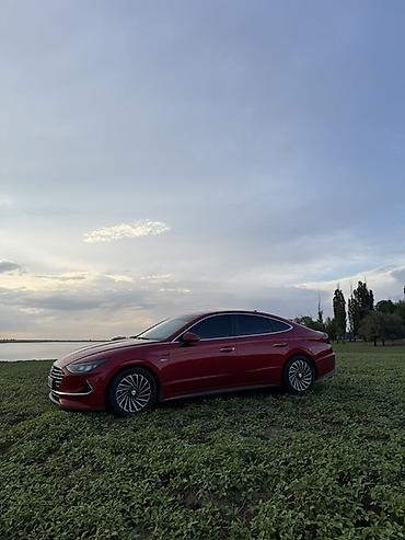 sonata: Hyundai Sonata: 2019 г., 2 л, Автомат, Гибрид, Седан — 2