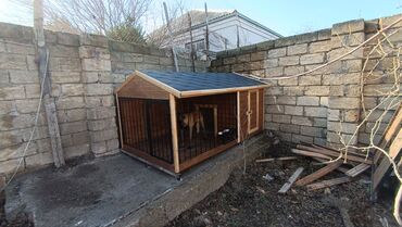 Yuvalar: İt yuvası, pişik yuvası və digər heyvanlar üçün yuva sifarişləri qəbul — 5