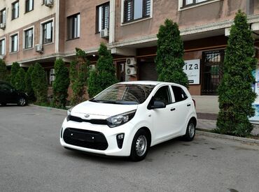 купить авто с кореи бу: Kia Morning: 2020 г., 1 л, Автомат, Бензин, Хэтчбэк