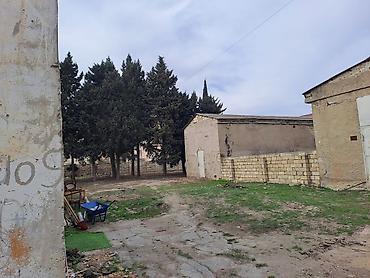 Torpaq sahələrinin satışı: 25 sot, Kupça (Çıxarış) — 16